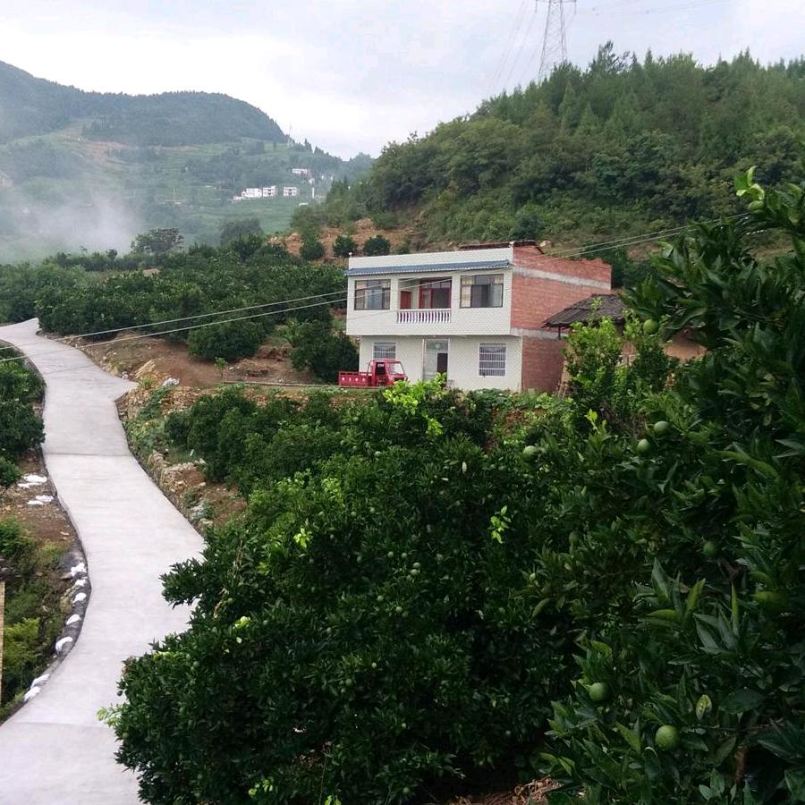 需要火狮子团队 24小时为你们服务186