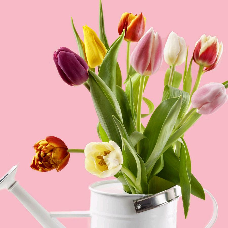 @蓝天🐓️🐓️