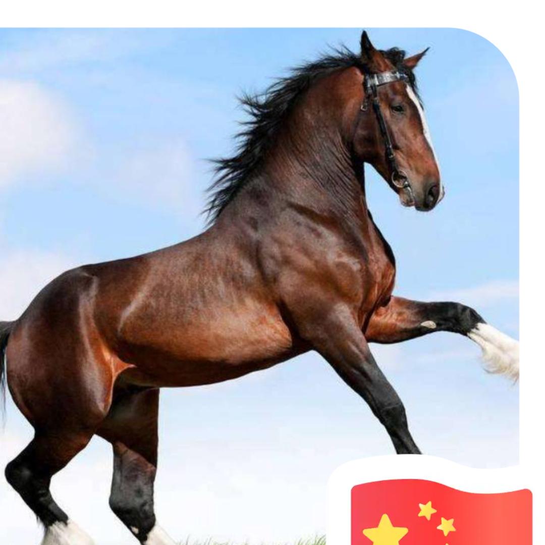 跨马持鞭