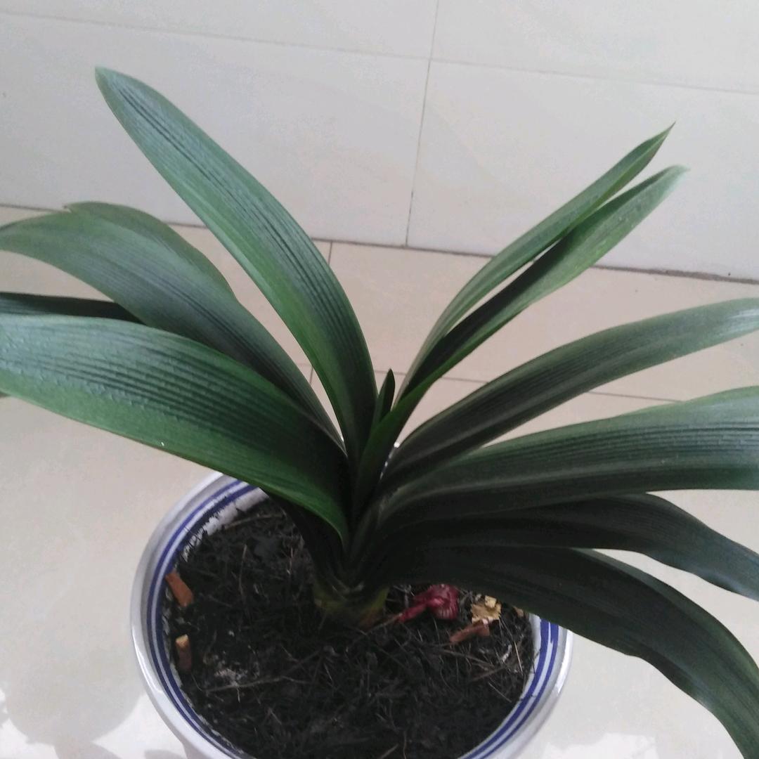 會