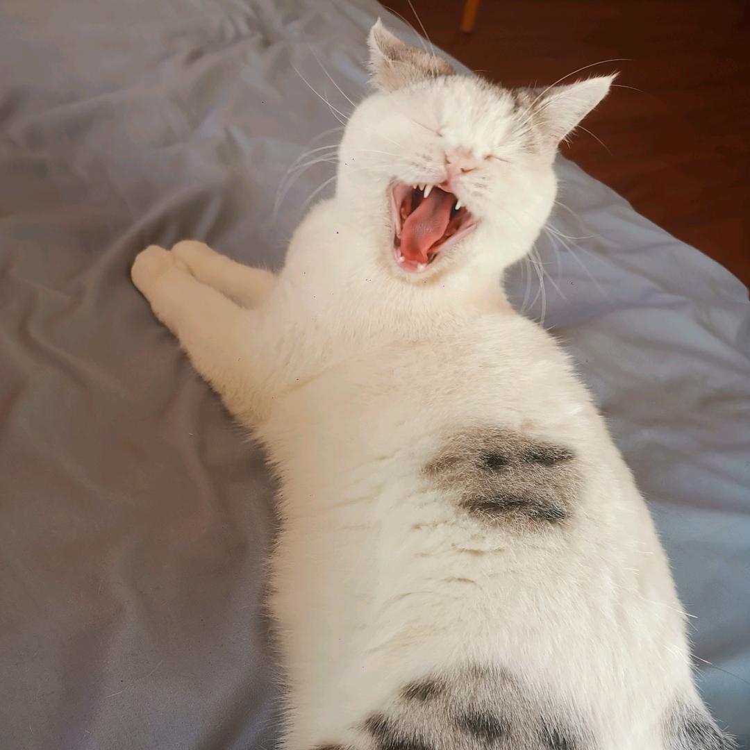 一条咸鱼～～～～