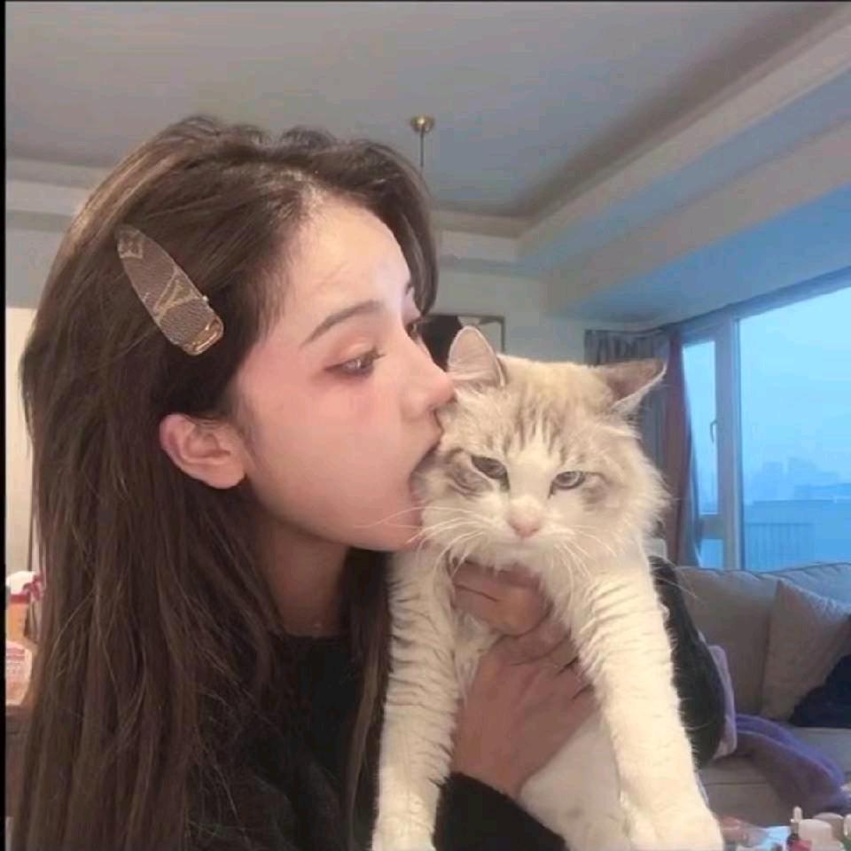 中金珠宝永传承金店宋