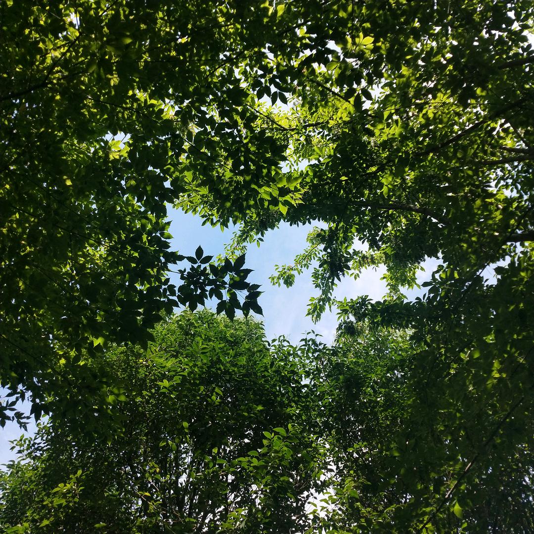 小森林~₍˄·͈༝·͈˄*₎
