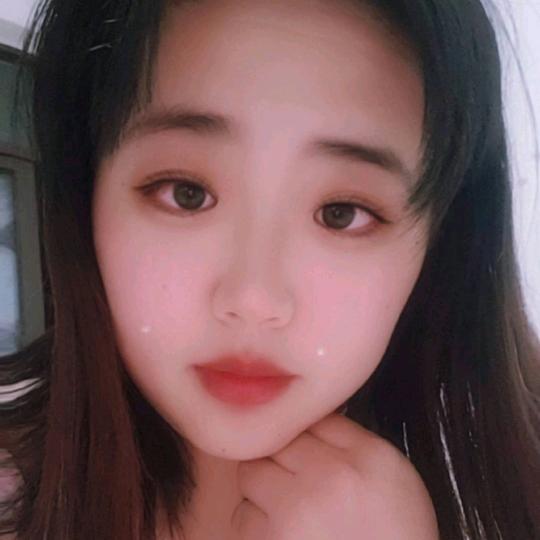 风 止于林间