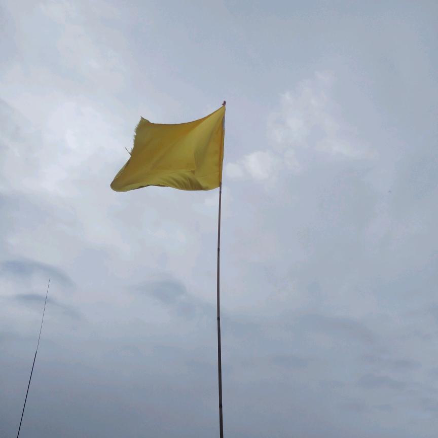 杨公子