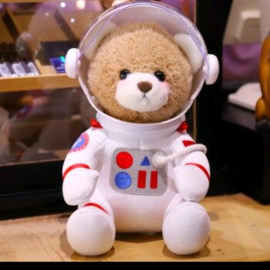 太空熊