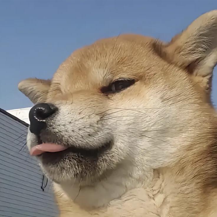 威威大王