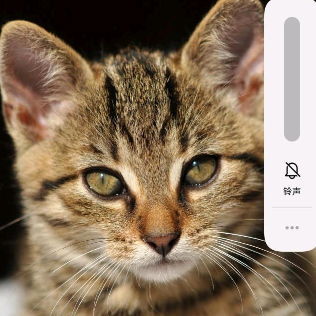 明天好