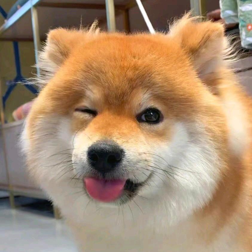 KTM～呀轰