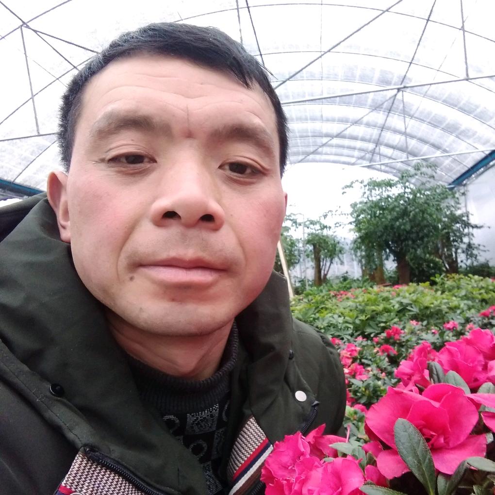 清洗/商用油烟机、化粪池、管道疏通