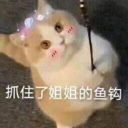 君无戏言
