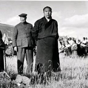 岗尕尔仓738生活号