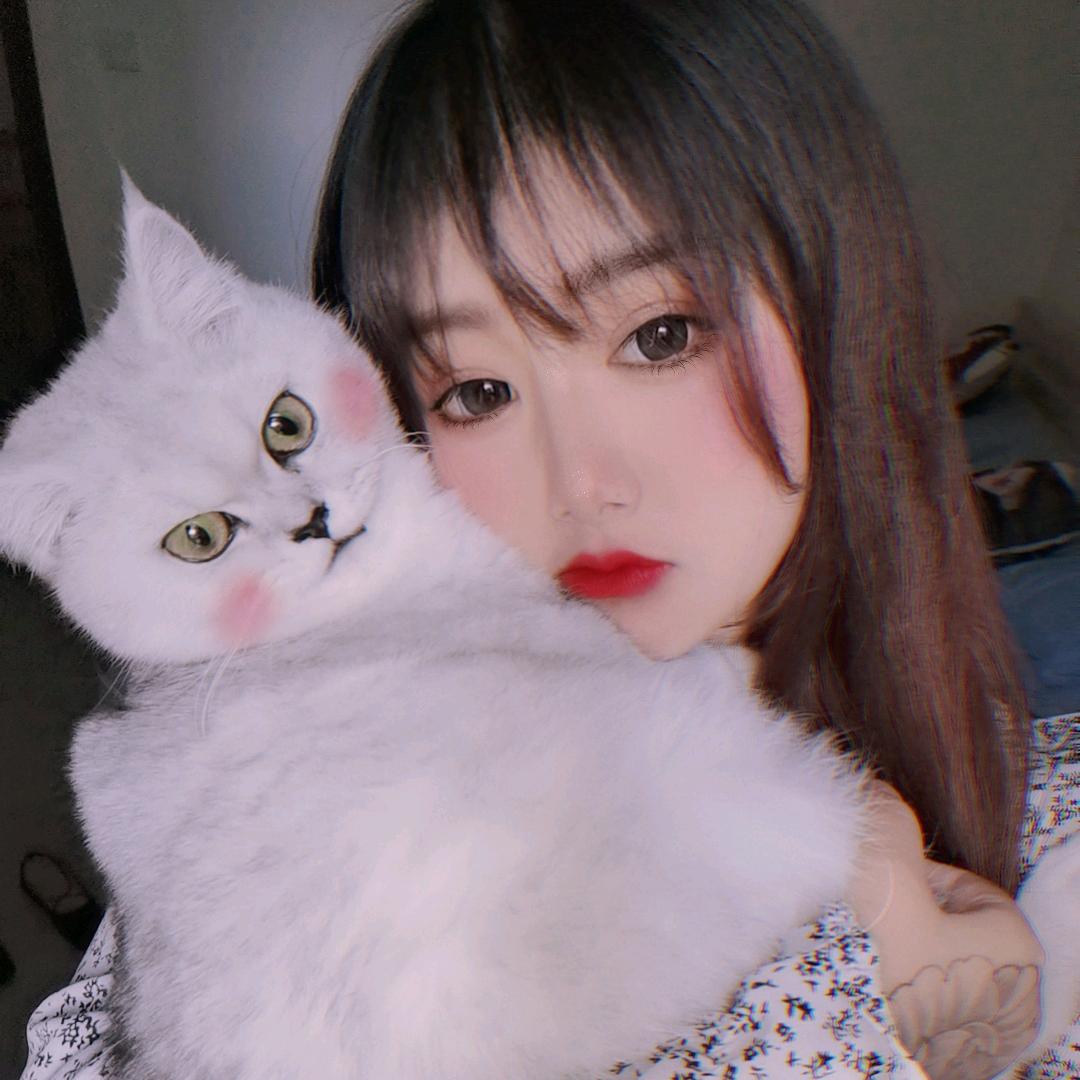 李猫猫。