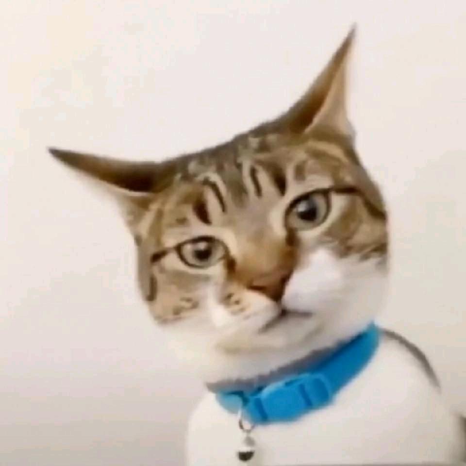 枫浔