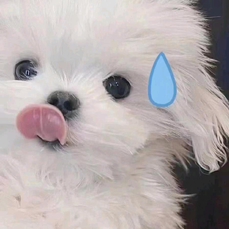 小雅不拍照.