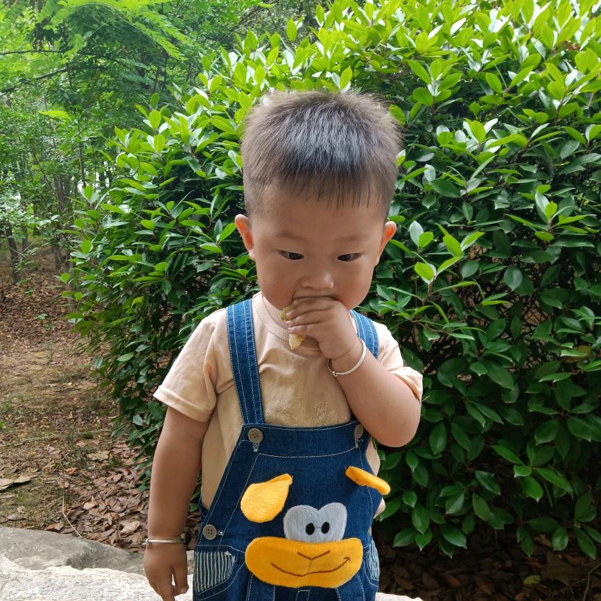 萌萌宝贝