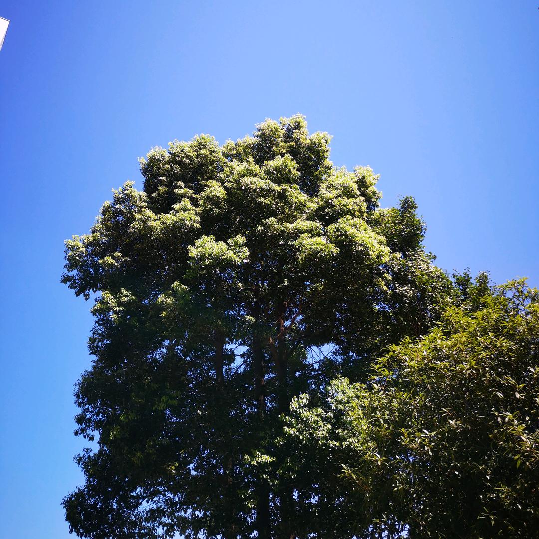 读书励志APTX4869