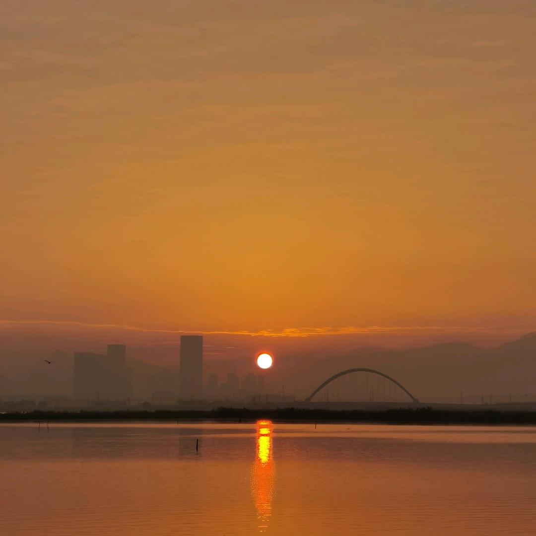 鑫齐海鲜优选