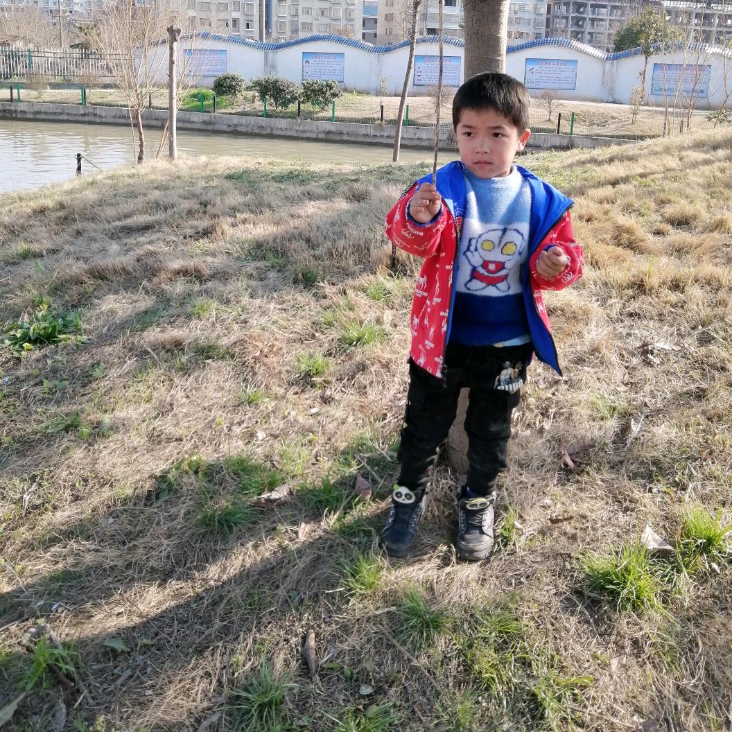 卢雄