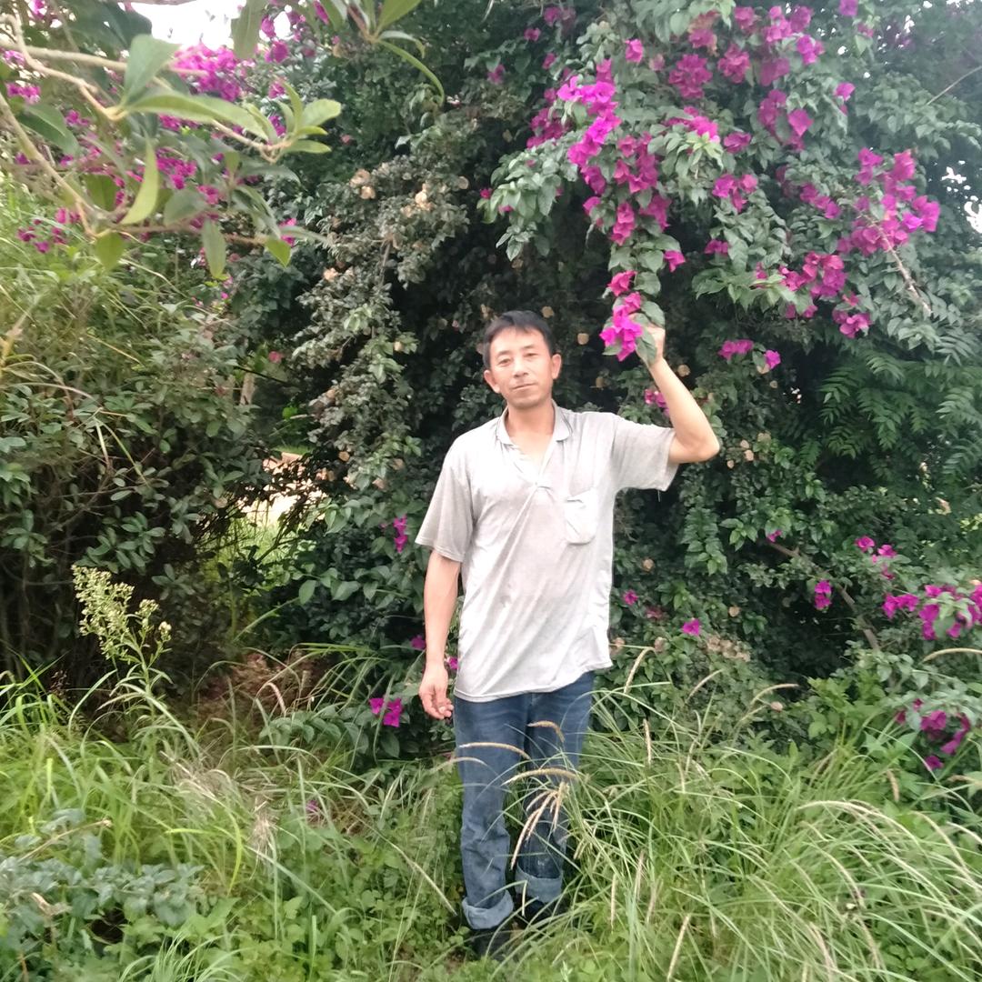 单身爸爸找个伴侣
