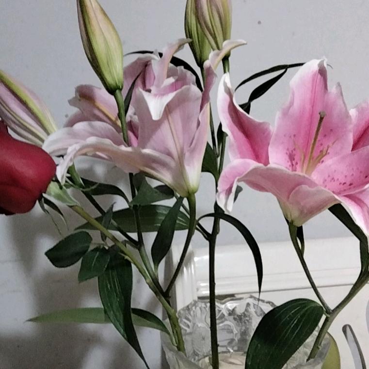 时光匆匆的小流年