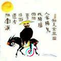 我心飞扬
