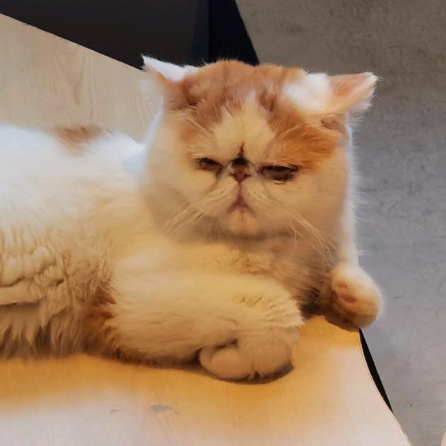 黑键丶