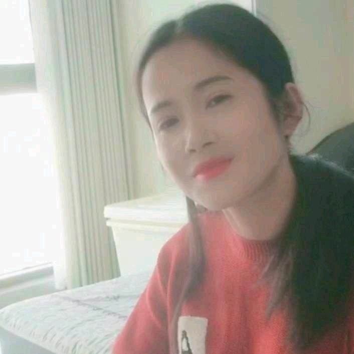 南方的贝贝熊