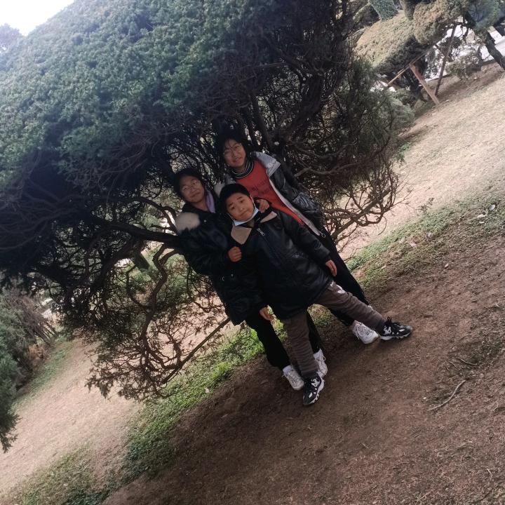 徐成林