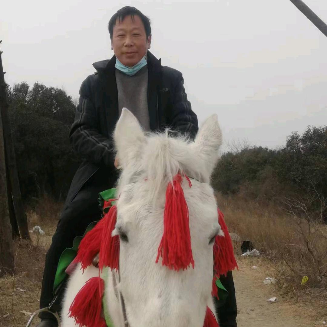 马到成功