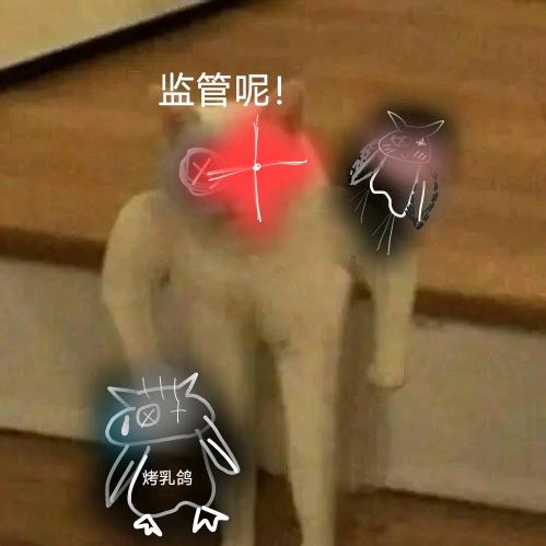 秘制松茸
