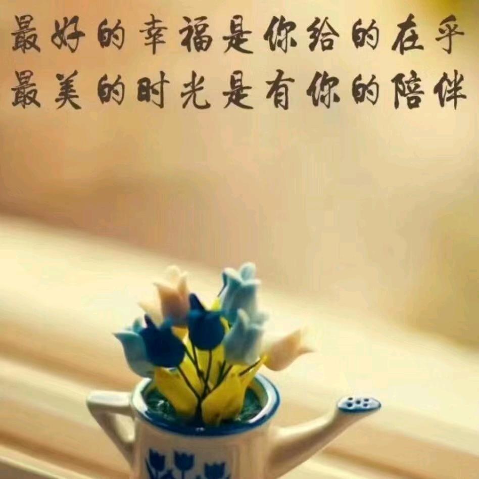 我心依旧—贴砖易哥