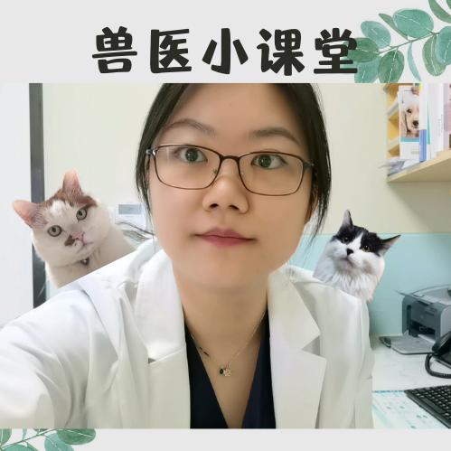 有一个宠医她有点儿病