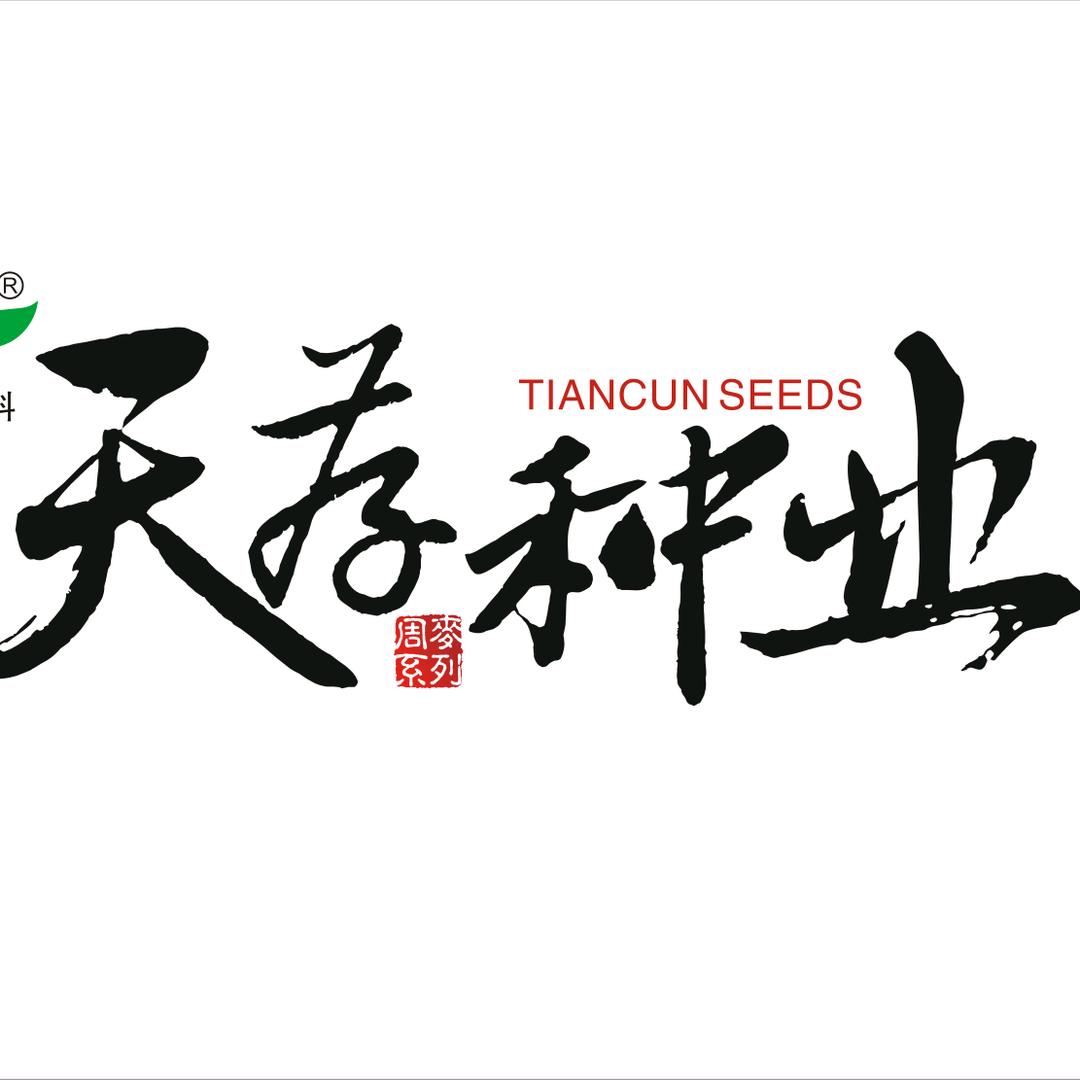 天存种业