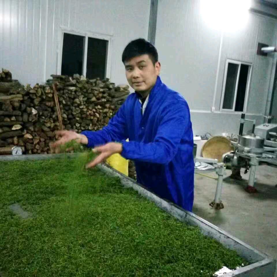 我家乡的小镇