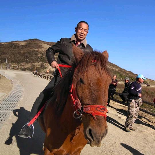 加油哦
