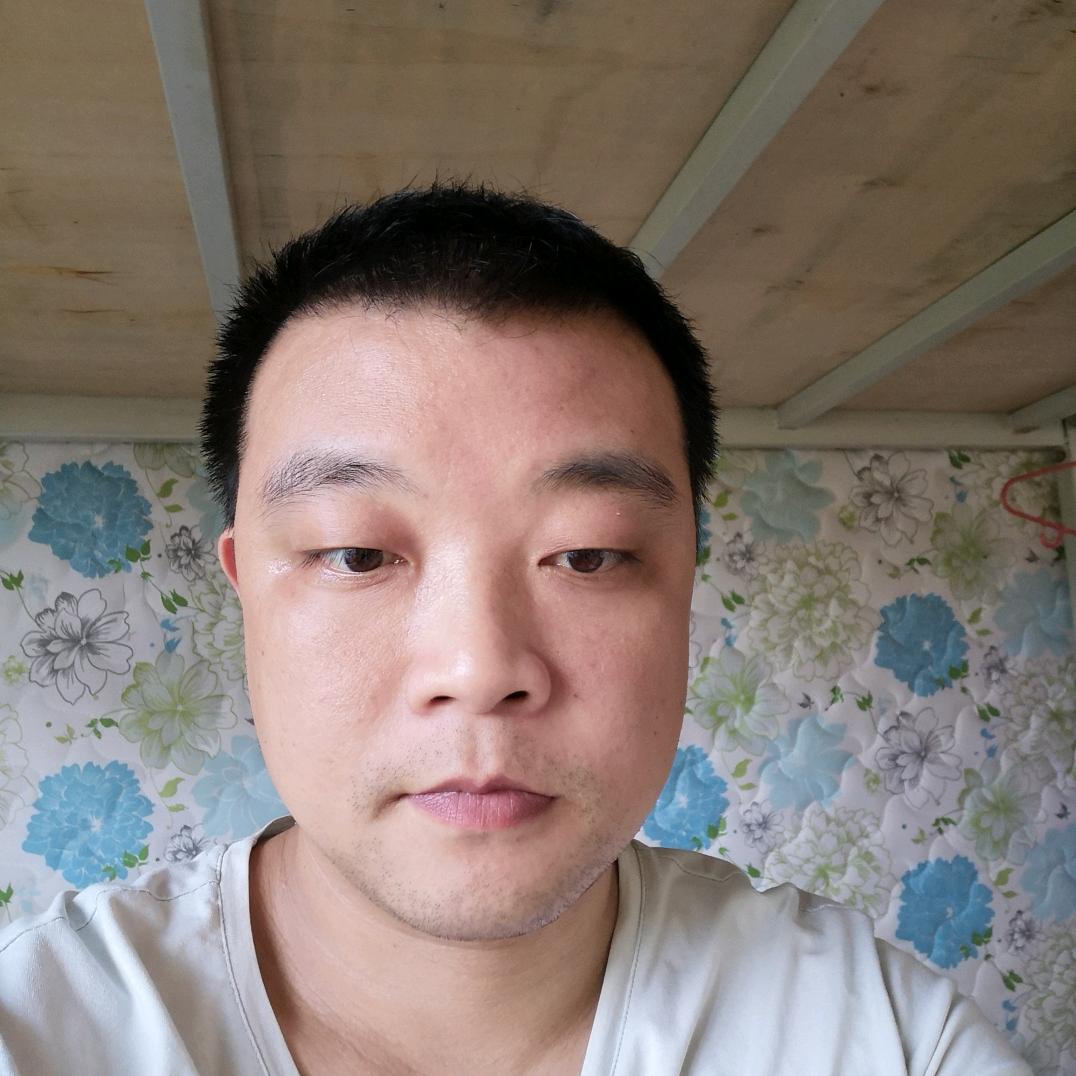梧桐雨林