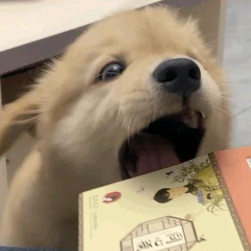 🍧头像