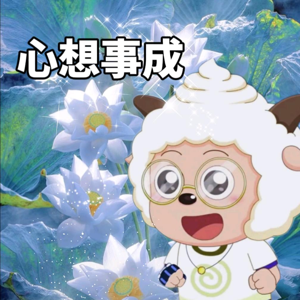蛋炒饭－