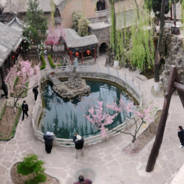 我自逍遥