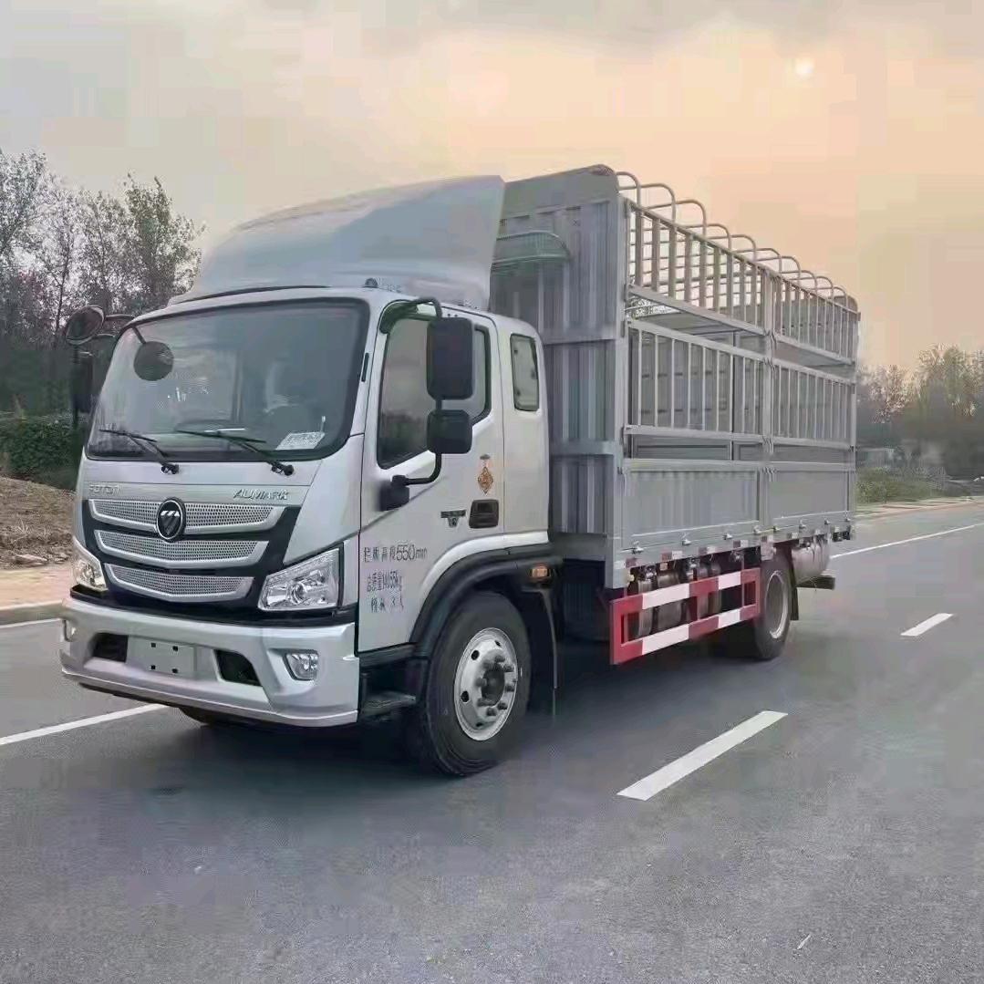 福田欧航欧马可@杜哥