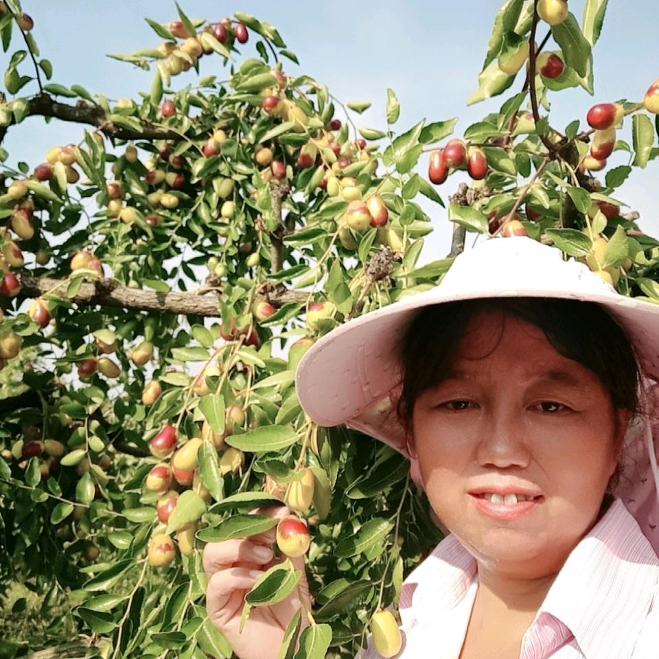 西山枣姐一华子