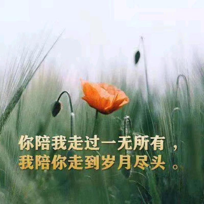 勇锅👨
