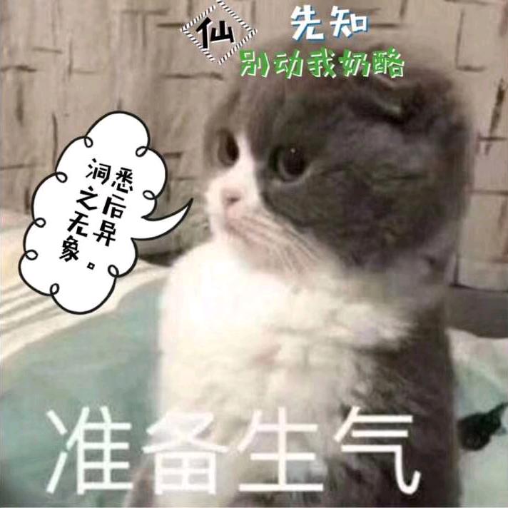 玖玖超爱玩