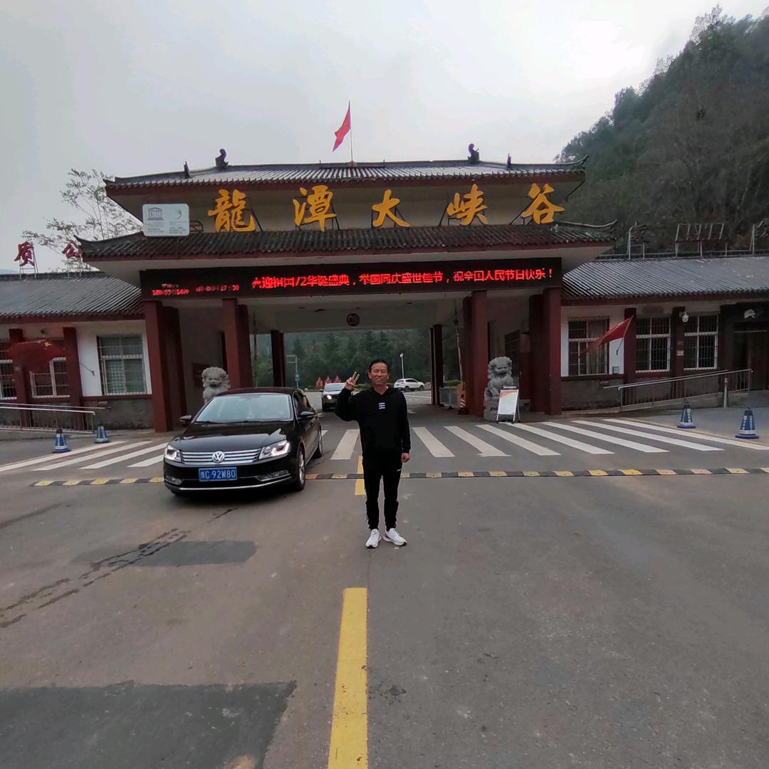 洛阳老陈