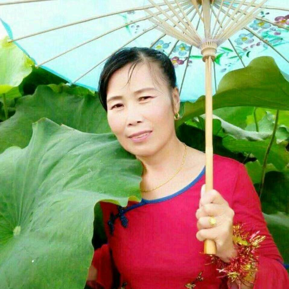凤歌姐