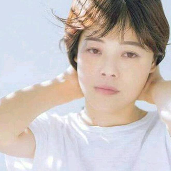 蝴蝶兰