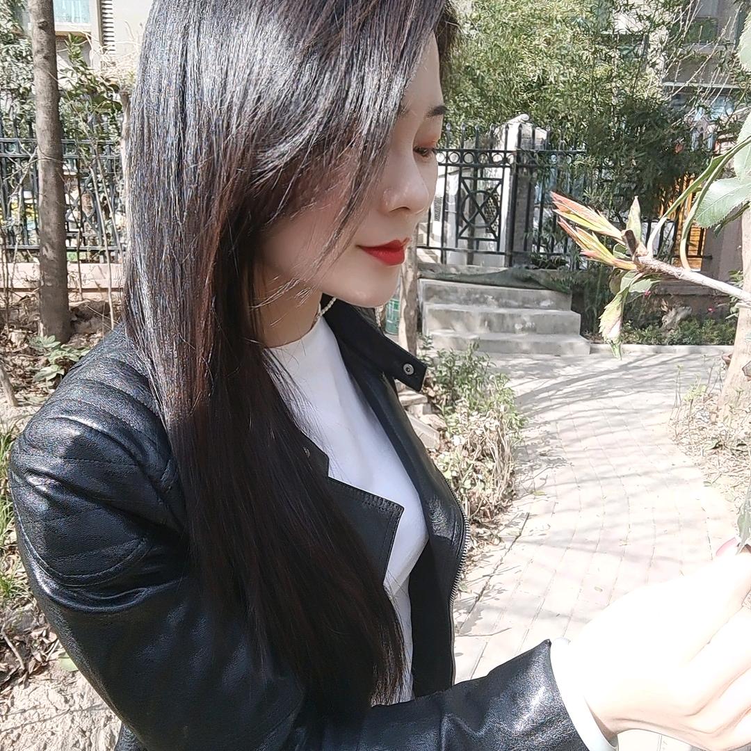 豫见茗茶茶叶商行遇见菲菲