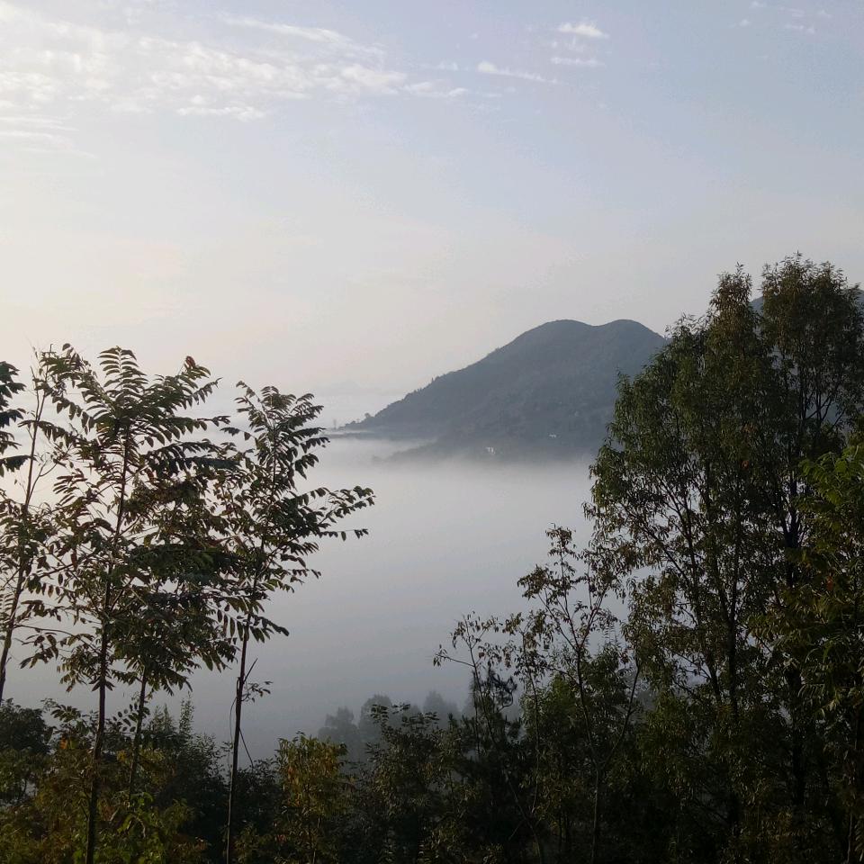 一切随缘╭(╯ε╰)╮顺其自然……