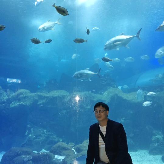 败寇，胜王，不变的承诺